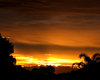 southern sunset gold