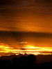 southern sunset gold