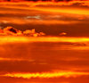 southern sunset gold