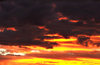 southern sunset gold