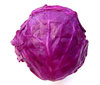 red cabbage