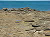 rocky shore