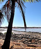 rocky shore