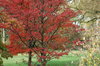 Fall2010