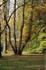 Fall2010
