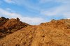 Dry Land