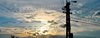 Wired Sunset