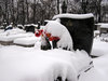 Cementary in winter