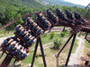 Roller Coaster