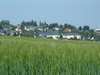 Village in the sun