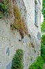 Old wall