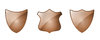 Shield