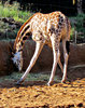 long mealtime5