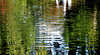 pool reflections5