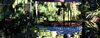 pool reflections2