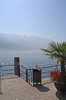 limone - spring