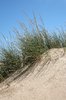 Sand dunes