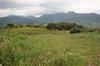 Rural Andalucia 1