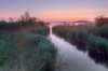 Stream in morning light - HDR