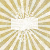 Grunge Burst and Banner 2