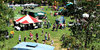 all the fun of the fair