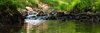 Creek - wide