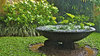 Tropical storm