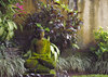 Buddhism