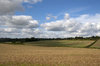 Autumn fields
