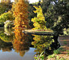park lake autumn reflections