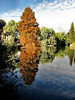park lake autumn reflections