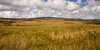 Bowland Fells 2