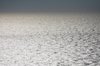 Horizon line 13