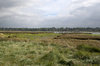 Low tide estuary