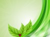 Green Dreams