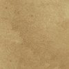 CardBoard