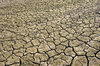 Parched ground