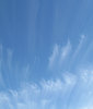 streaky southern skies