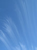 streaky southern skies