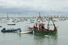 Harbour life