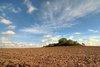 Autumn field - HDR