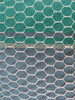 mesh on mesh1