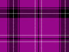 Tartan or Plaid