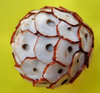 fragrant deodorizer balls4