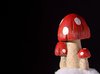 Mushroom, isolated