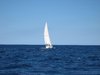 white sail