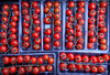 cherry tomatoes1