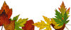 Leaf Collage 2