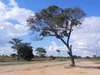 zambia