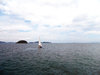 Seaward